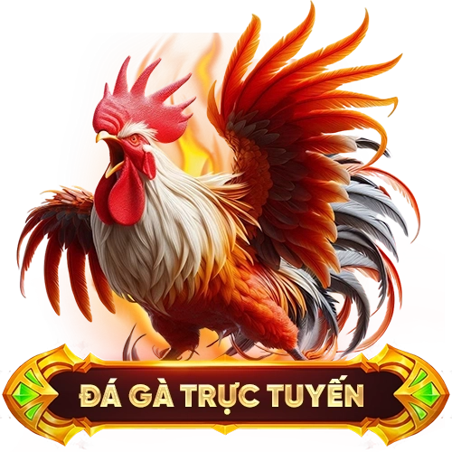 đá gà trực tuyến KV999